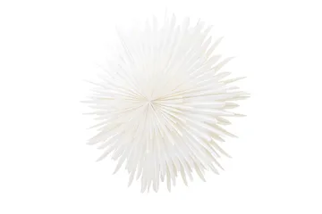 Sälen Adventsstjärna / Jullampa 100 cm - Vit - Products - Belysning - Julbelysning - Adventsstjärna