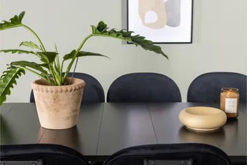 Astrid Matgrupp 200 cm Rektangulär med 6 Stella stolar - Svart - Products - Möbler - Bord & matgrupp - Matgrupp