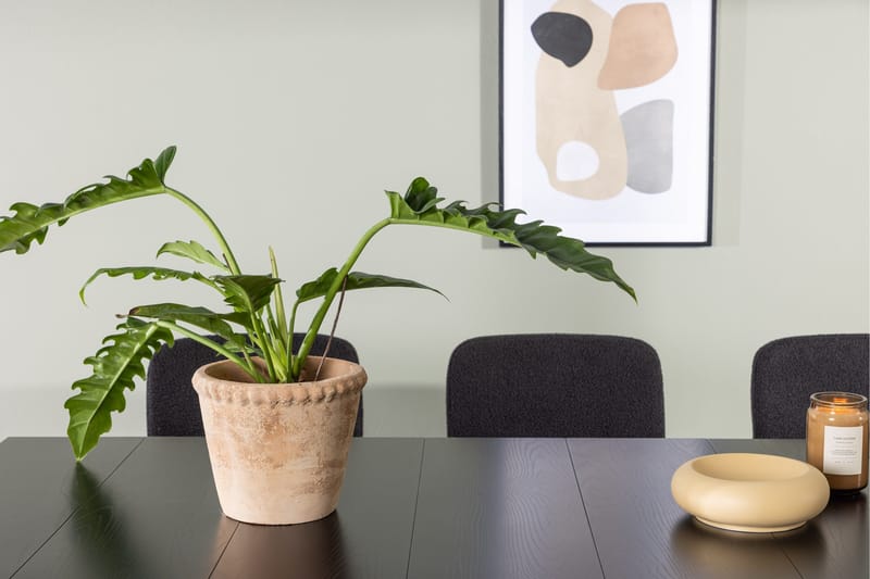 Astrid Matgrupp 200 cm Rektangulär med 6 Yesterday stolar - Svart - Products - Möbler - Bord & matgrupp - Matgrupp