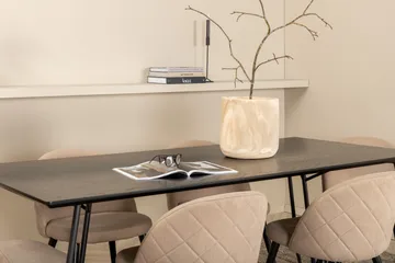 Petra Matgrupp 190 cm Rektangulär med 6 Velvet stolar - Beige - Products - Möbler - Bord & matgrupp - Matgrupp