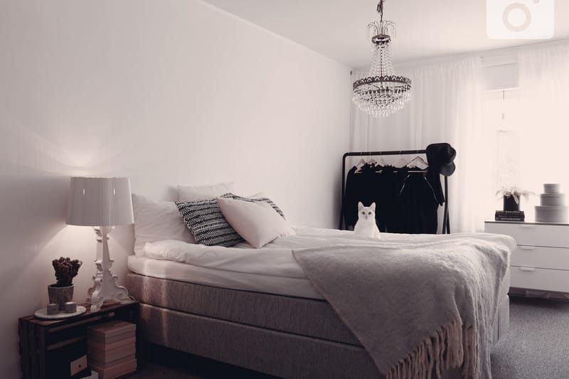 Charleston Kontinentalsäng 180x200 Fast Polyeterskum - Ljusgrå - Products - Möbler - Säng - Kontinentalsäng