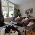 Kundebillede Oceanside gyngestol - Grå (fløjl)