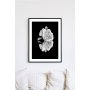 Posterworld - Motiv Hvid Rose - 50 x 70 cm