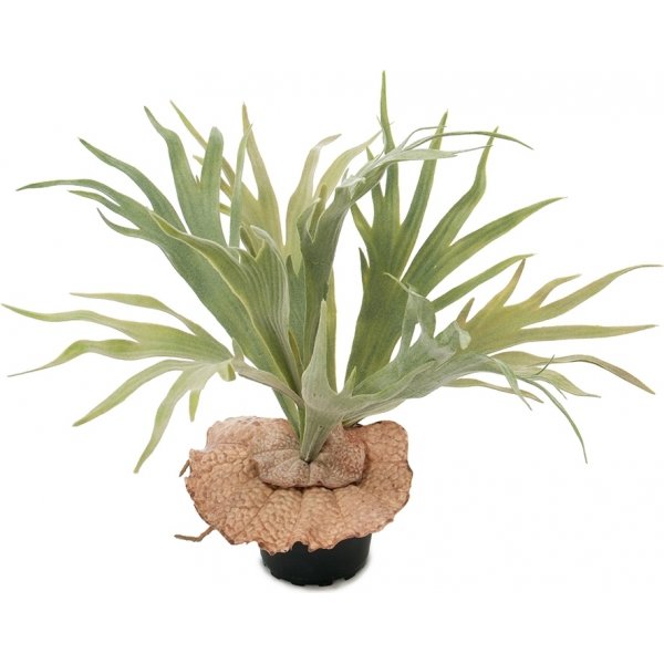 Elghorn bregne kunstig plante