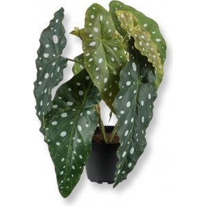 rred begonia kunstig plante