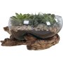 San Marino Vanddrbevase - Teak/glas - 26