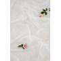 Bellis gardin - Hvid