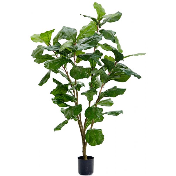 Fiolfikus kunstig plante