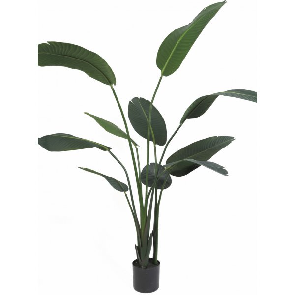Kunstig plante - Papegje blomst H110 cm