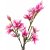 Magnolia tr kunstig plante - Pink