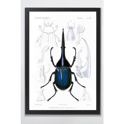 Maleri med ramme (Insekt) - 50x70 cm