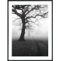 Posterworld - Motiv Mrkt Tr - 50 x 70 cm