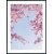 Posterworld - Motiv Blomst p himlen - 50x70 cm