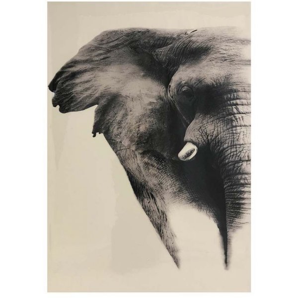 Elefant maleri