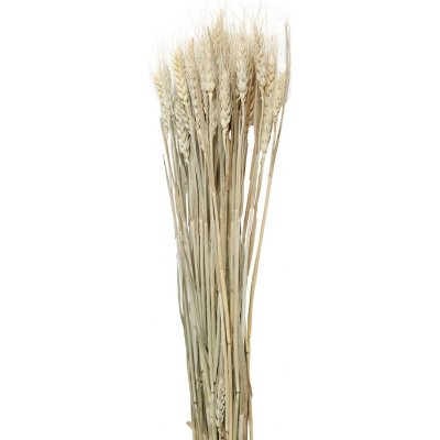 Trret hvede kunstig plante - Beige