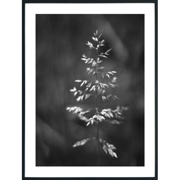 Posterworld - Motivgrs - 70 x 100 cm