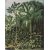 Botanisk hue 100 x 127 cm - Grn