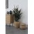 Eucalyptus tr kunstig plante - H:120 cm - Grn