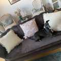 Kundebillede Fløjlssofa Kingsley 3-personers sofa - 180 cm