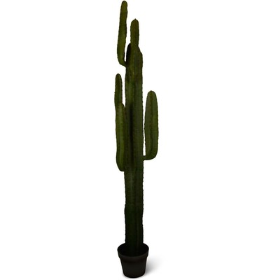 Kunstig plante - Kaktus 160 cm