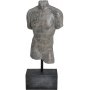 Torso mand - Gr